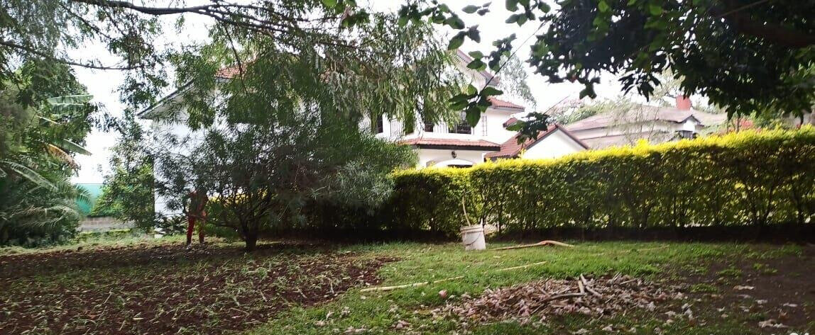 Half Acre 5BR Home with Garden