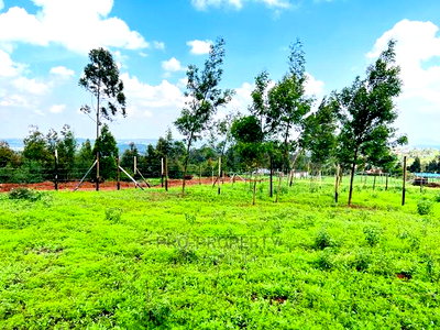 Prime 1/8 Acre Residential Plots for Sale in Kikuyu, Kamangu - Image 8