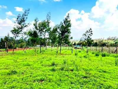 Prime 1/8 Acre Residential Plots for Sale in Kikuyu, Kamangu - Image 7