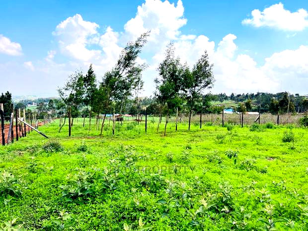 Prime 1/8 Acre Residential Plots for Sale in Kikuyu, Kamangu