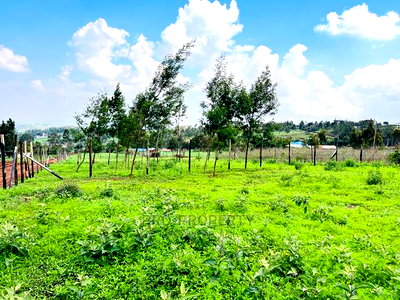 Prime 1/8 Acre Residential Plots for Sale in Kikuyu, Kamangu - Image 4