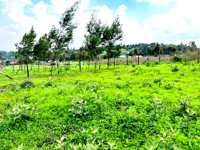 Prime 1/8 Acre Residential Plots for Sale in Kikuyu, Kamangu - Image 13