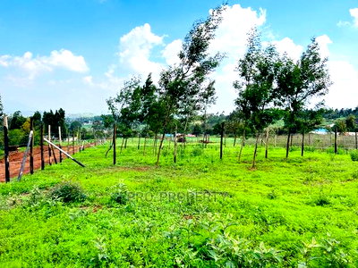 Prime 1/8 Acre Residential Plots for Sale in Kikuyu, Kamangu - Image 15