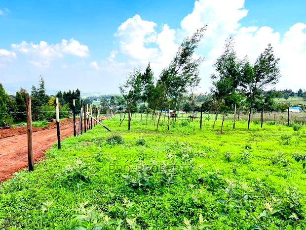 Prime 1/8 Acre Residential Plots for Sale in Kikuyu, Kamangu