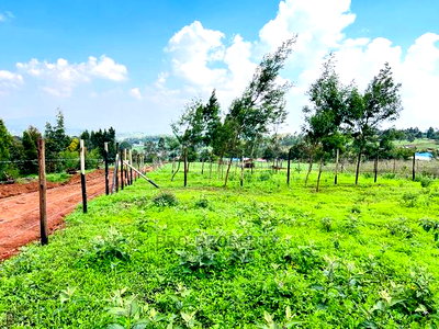 Prime 1/8 Acre Residential Plots for Sale in Kikuyu, Kamangu - Image 1