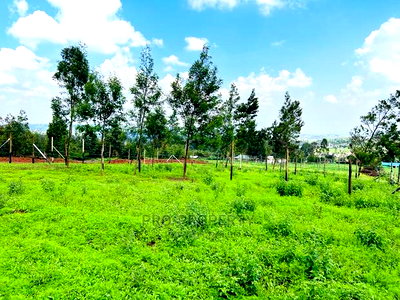 Prime 1/8 Acre Residential Plots for Sale in Kikuyu, Kamangu - Image 14