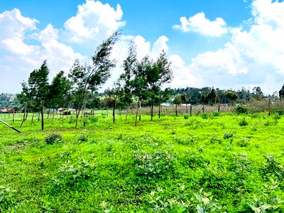 Prime 1/8 Acre Residential Plots for Sale in Kikuyu, Kamangu - Image 2