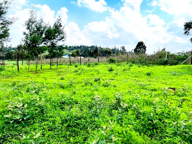 Prime 1/8 Acre Residential Plots for Sale in Kikuyu, Kamangu