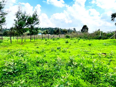 Prime 1/8 Acre Residential Plots for Sale in Kikuyu, Kamangu - Image 5
