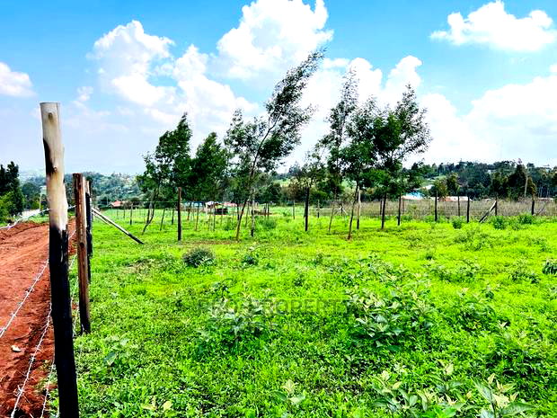 Prime 1/8 Acre Residential Plots for Sale in Kikuyu, Kamangu