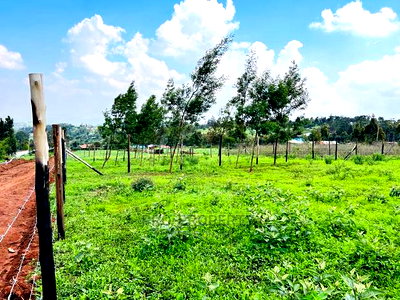 Prime 1/8 Acre Residential Plots for Sale in Kikuyu, Kamangu - Image 3