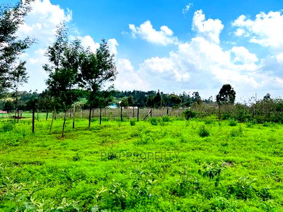 Prime 1/8 Acre Residential Plots for Sale in Kikuyu, Kamangu - Image 11