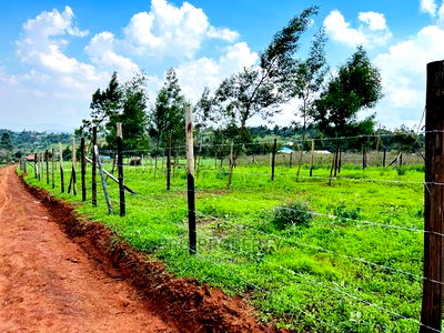 Prime 1/8 Acre Residential Plots for Sale in Kikuyu, Kamangu - Image 16