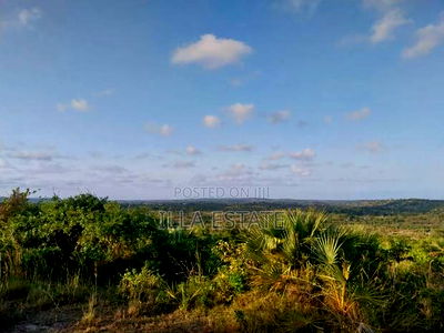 Perfect Sky-Line View Plots - Image 2