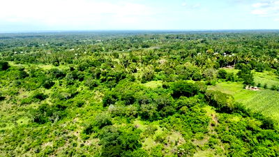 Perfect Sky-Line View Plots - Image 8