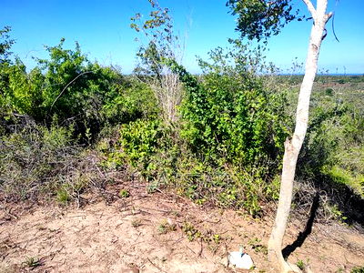 Perfect Sky-Line View Plots - Image 3