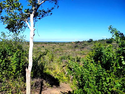 Perfect Sky-Line View Plots - Image 6