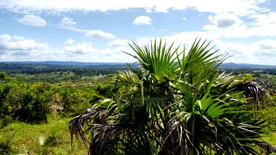 Perfect Sky-Line View Plots - Image 7