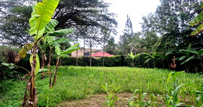 1-Acre Plot in Oloolua for KSh 22M