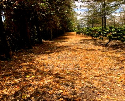 Prime 1.25 Acres Ruiru Behind Zetech University - Image 4