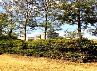 Prime 1.25 Acres Ruiru Behind Zetech University - Image 3