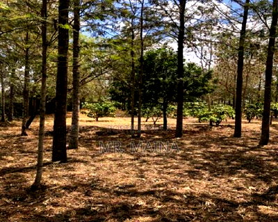 Prime 1.25 Acres Ruiru Behind Zetech University - Image 2