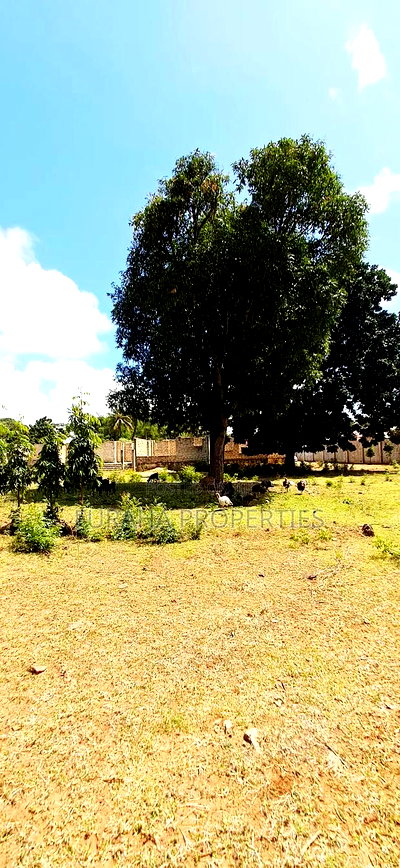 For Sale 2 Acres Prime Land Mtwapa - Image 2