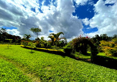 3-Acre Commercial Land in Runda