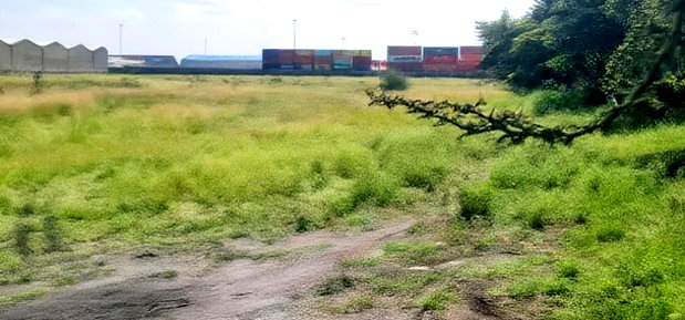 7.5 Acres Behind Nice Lovely. Msa Rd