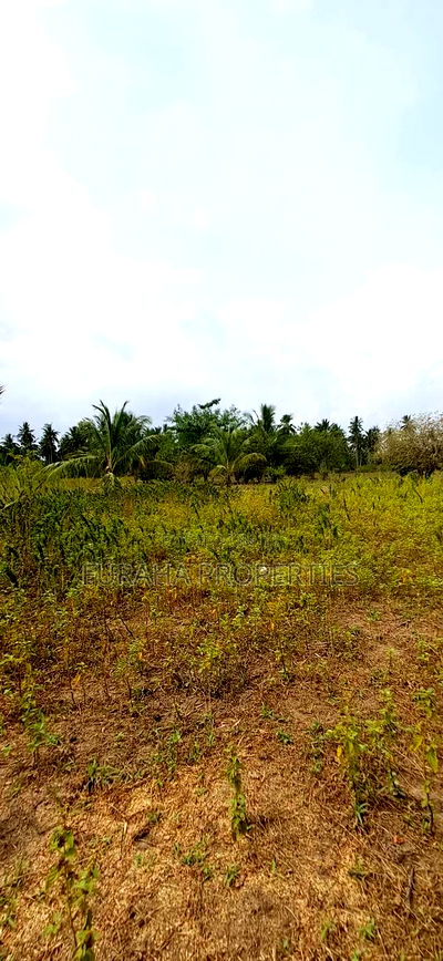 For Sale 2 Acres Land Msambweni - Image 7