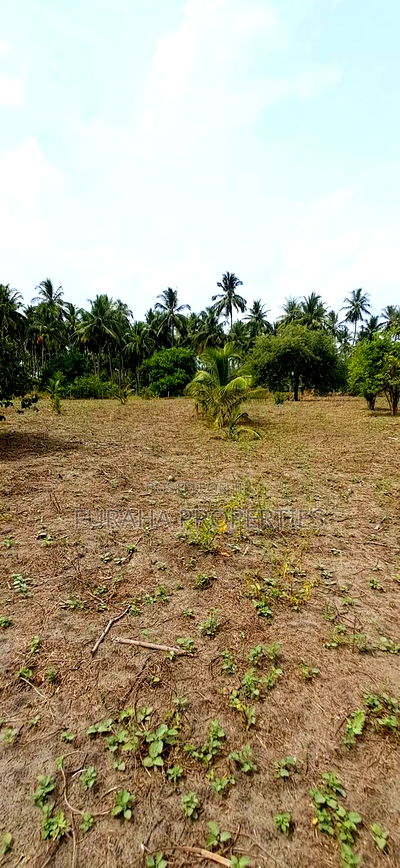 For Sale 2 Acres Land Msambweni - Image 6