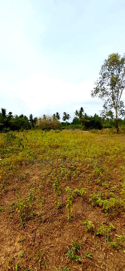 For Sale 2 Acres Land Msambweni - Image 2