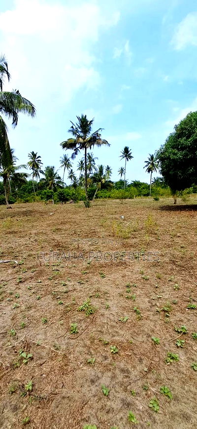 For Sale 2 Acres Land Msambweni - Image 5
