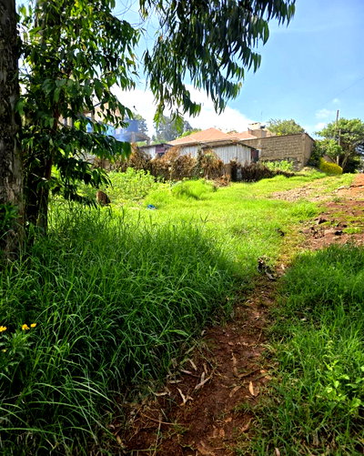 50x100 Plot with Garden at KSh 3.8M