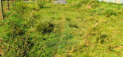 1/8 Plot for Sale in Elgonview Kusco in Eldoret - Image 2