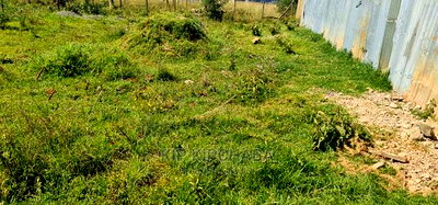 1/8 Plot for Sale in Elgonview Kusco in Eldoret - Image 5