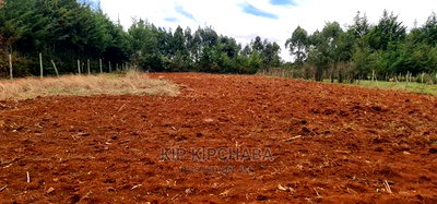 1/2 Acre Plot For Sale In Kapseret Kericho Ndogo Eldoret - Image 3