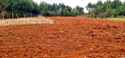 1/2 Acre Plot For Sale In Kapseret Kericho Ndogo Eldoret - Image 2