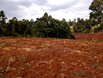 1 Acre for Sale in Redhill Tigoni - Image 8