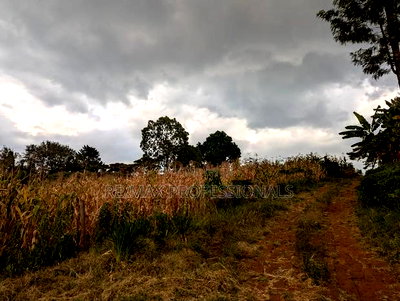 1 Acre for Sale in Redhill Tigoni - Image 9