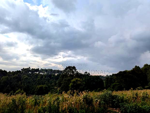 1 Acre for Sale in Redhill Tigoni