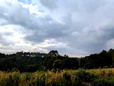 1 Acre for Sale in Redhill Tigoni - Image 4