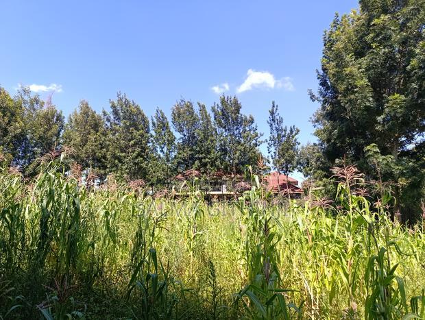 Prime Residential Quarter Plot for Sale in Ondiri, Kikuyu