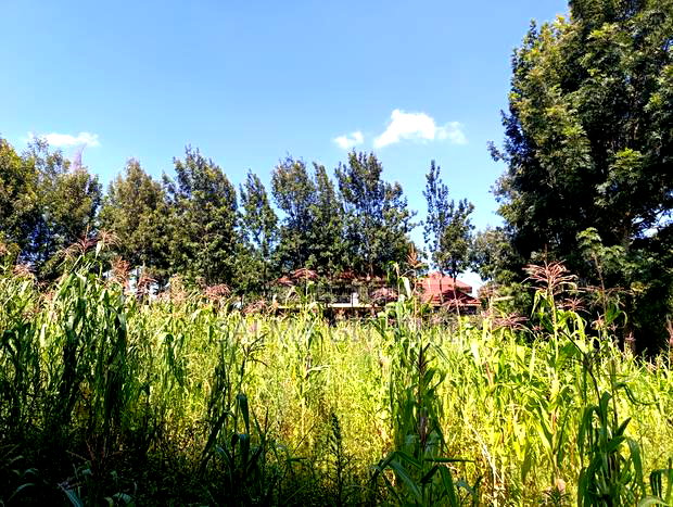 Prime Residential Quarter Plot for Sale in Ondiri, Kikuyu