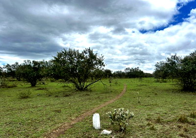 1.1 Acre Townhouse in Naivasha