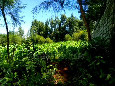 Quarter Acre Plot in Ngong Along Lemiso Road Near Tarmac - Image 1