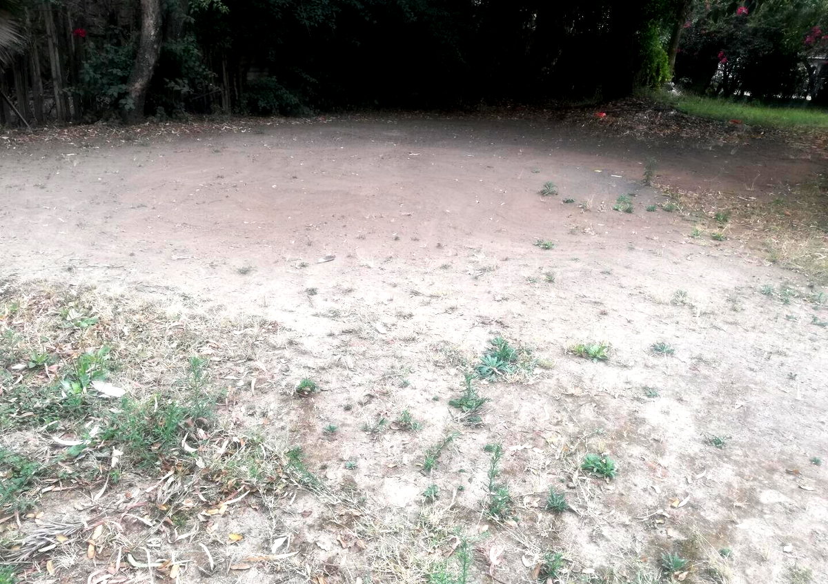Garden Plot in Kilimani