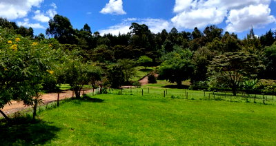 Gated Quarter Acre with Garden