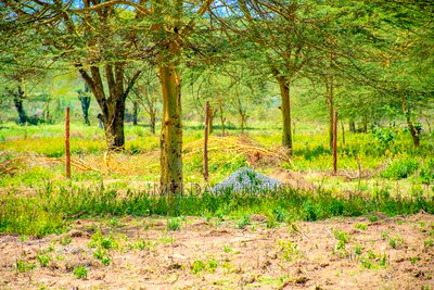 Nakuru Phase Iii - Image 4