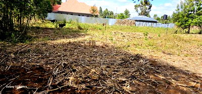 Prime 1/4 Acre Plot For Sale In Outspan Dc In Eldoret - Image 3